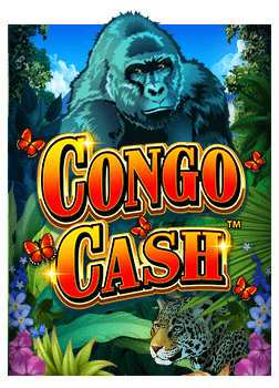 ประสบการณ์ใหม่กับสล็อต so ทดลองเล่น